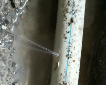 绥化卫生间测漏水多少钱