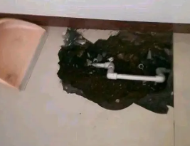 绥化卫生间测漏水多少钱